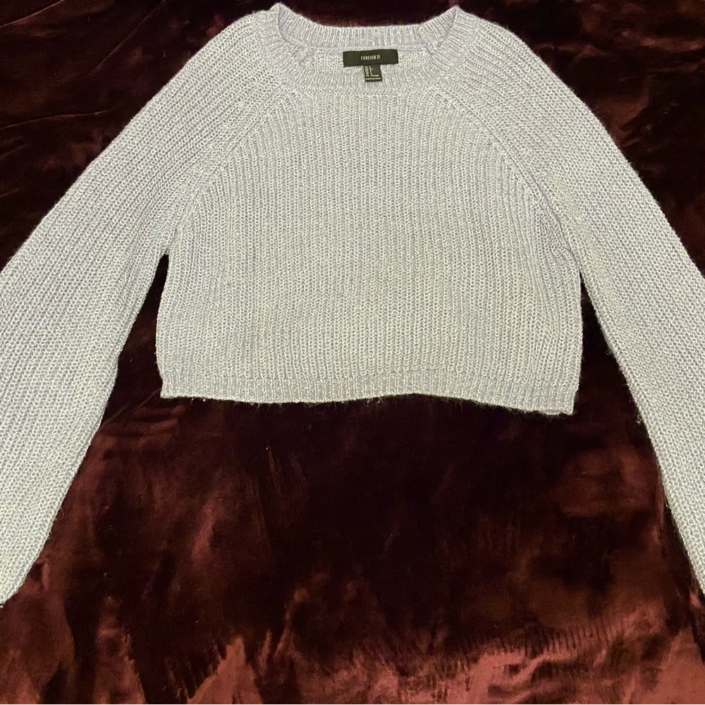 Forever 21 Cropped Baggy Long Sleeve Sweater (L)